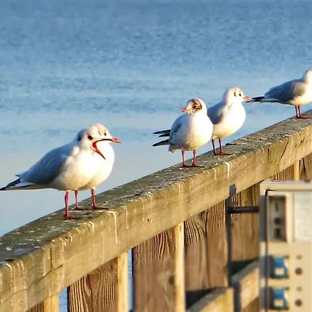 Mit Kamin In Feriehus *